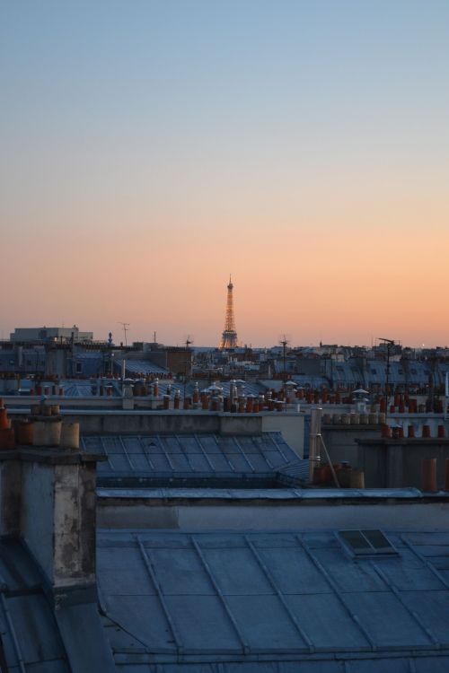 paris from rooftops